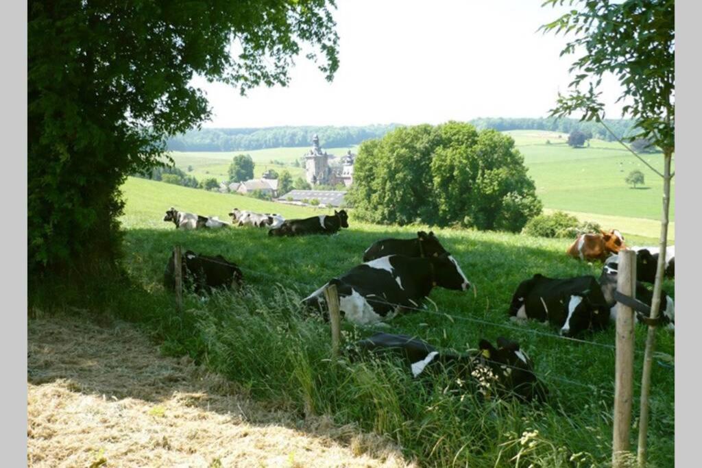 Hoeve Espewey Cottage Hombourg Luaran gambar